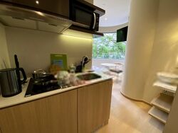 Mount Elizabeth Link (D9), Condominium #572933811
